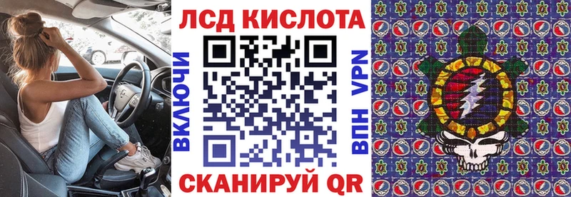 Купить где  Каменногорск  Марки N-bome 1500мкг 